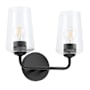 Progress Lighting Celino 2 Light 14" Wide Vanity Light with Clear Glass Black