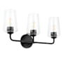 Progress Lighting Celino 3 Light 23" Wide Vanity Light with Clear Glass Black
