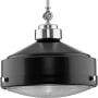 Progress Lighting Loftin 15" Wide Pendant Matte Black