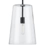Progress Lighting Clarion 11" Wide Pendant Matte Black