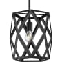 Progress Lighting Saucedo 12" Wide Cage Pendant Matte Black