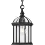 Progress Lighting Dillard 8" Wide Outdoor Mini Pendant with Clear Glass Shade Textured Black