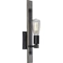 Progress Lighting Hemsworth 17" Tall Wall Sconce Black