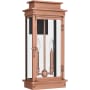 Quoizel Noelle 2 Light 19" Tall Outdoor Wall Sconce Aged Copper