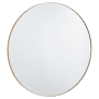 Quorum International Round 42" Diameter Modern Circular Metal Framed Bathroom Wall Mirror Gold