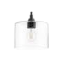 Quorum International Dakota 8" Wide Mini Pendant Noir