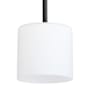 Quorum International Rutherford 8" Wide Mini Pendant with Satin Opal Shade Matte Black