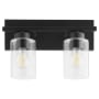 Quorum International Carter 2 Light 14" Wide Vanity Light Matte Black