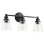Quorum International Dunbar 3 Light 23" Wide Bathroom Vanity Light Noir