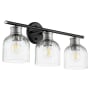 Quorum International Monarch 3 Light 23" Wide Bathroom Vanity Light Noir / Satin Nickel