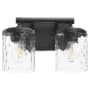 Quorum International Starky 2 Light 13" Wide Vanity Light Matte Black