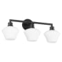 Quorum International Belinder 3 Light 25" Wide Vanity Light Matte Black