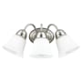 Quorum International 3 Light 17" Wide Vanity Light Satin Nickel