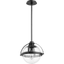 Quorum International 13" Wide Pendant Noir