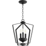 Quorum International Fort Worth 3 Light 13" Wide Pendant Noir