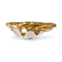 Regina Andrew Golden 14" Wide Clam Bowl Small Natural