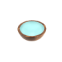 Richelieu 2-11/16 Inch Round Cabinet Knob Turquoise / Walnut
