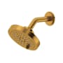 Riobel 1.5 GPM Multi Function Shower Head Brushed Gold