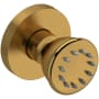 Riobel Single Function Round Brass Body Spray Brushed Gold