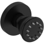 Riobel Single Function Round Brass Body Spray Black
