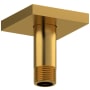 Riobel 2-5/8" Ceiling Mounted Shower Arm and Flange Brushed Gold