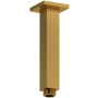 Riobel 6-3/8" Ceiling Mounted Shower Arm and Flange Brushed Gold