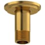 Riobel 2-3/8" Ceiling Mounted Shower Arm and Flange Brushed Gold
