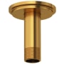 Riobel 3" Ceiling Mount Shower Arm - Escutcheon Included Brushed Gold