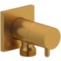 Riobel Handshower Outlet With Integrated Volume Control Brushed Gold