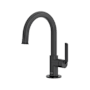 Riobel Authentica 1.2 GPM Single Hole Kitchen Faucet Black