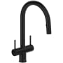 Riobel Azure 1.5 GPM Single Hole Pull Down Kitchen Faucet Black