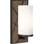 Robert Abbey Bond 12" Frosted Single Light Bathroom Sconce Smoked Walnut / Deep Patina Bronze