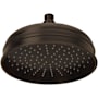 Rohl Bordano 1.8 GPM Single Function Rain Shower Head Tuscan Brass (Living Finish)