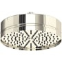 Polished Nickel
