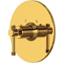 Rohl Campo Thermostatic Valve Trim Only with Single Lever Handle - Less Rough In Unlacquered Brass (Living Finish)