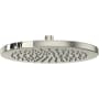Polished Nickel