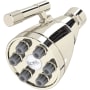 Polished Nickel