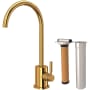 Rohl Lux 0.5 GPM Cold Water Dispenser with Filter Italian Brass