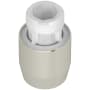 Polished Nickel