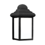 Roseto Kankakee Single Light 9" Tall Outdoor Wall Sconce Black