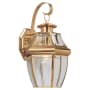 Roseto Coles Single Light 14" Tall Outdoor Wall Sconce Polished Brass