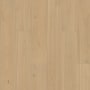 Shaw Cattitude 7" x 48" Embossed Vinyl Flooring - Sold by Carton (15.08 SF/Carton) Hygge