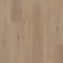 Shaw Cattitude 7" x 48" Embossed Vinyl Flooring - Sold by Carton (15.08 SF/Carton) Fika