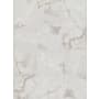 Shaw Gemstone - 24" x 24" Square Tile - Polished Marble Visual - Sold by Carton (12 SF/Carton) White