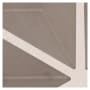 Shaw Sample Only of 443TS Taupe