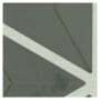 Shaw Sample Only of 443TS Moss Green