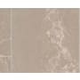 Shaw Lithic - 12" x 24" Rectangle Floor and Wall Tile - Matte Visual - Sold by Carton (15.5 SF/Carton) Light Gray Beige