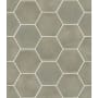 Shaw Halftone - 9" x 11" Hexagon Floor and Wall Tile - Glossy Visual - Sold by Carton (10.44 SF/Carton) Soft Mint