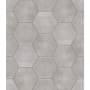 Shaw Halftone - 9" x 11" Hexagon Floor and Wall Tile - Glossy Visual - Sold by Carton (10.44 SF/Carton) Gray Vetiver