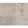 Shaw Basanite Legacy - 16" x 16" Square Floor and Wall Tile - Matte Visual - Sold by Carton (13.78 SF/Carton) Gray